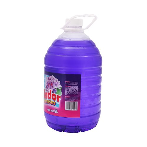 LIMPIADOR-SELECCION-DE-LA-CASA-LAVADA-5L