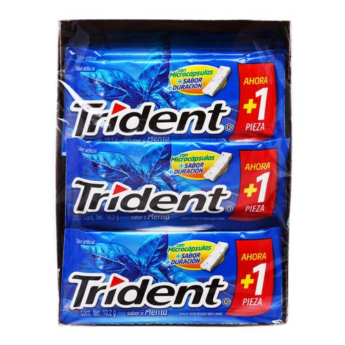 CHICLE-ADAMS-TRIDENT-WHITE-MENTA-SLAB-1P---ADAMS