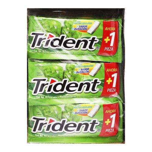 CHICLE-ADAMS-TRIDENT-WHITE-YERB-SLAB-1P---ADAMS